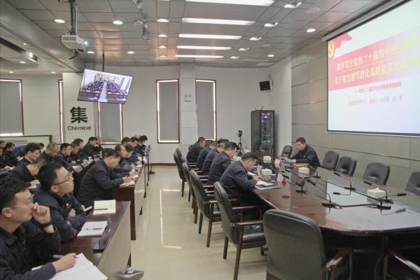 集團(tuán)公司黨委書(shū)記、董事長(zhǎng)、總經(jīng)理趙強(qiáng)專(zhuān)題宣講黨的二十屆四中全會(huì)精神